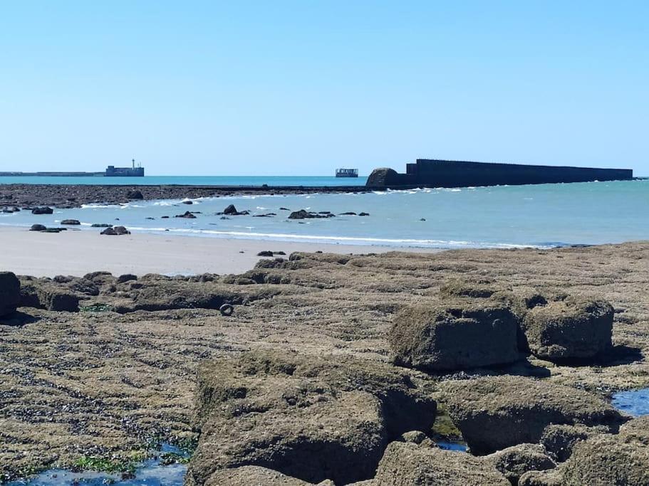 Face Nausicaa Et Plage Vue Panoramique 滨海布洛涅 外观 照片