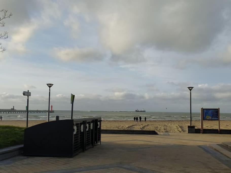 Face Nausicaa Et Plage Vue Panoramique 滨海布洛涅 外观 照片