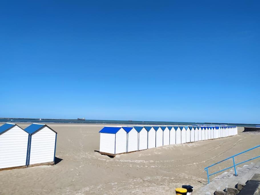 Face Nausicaa Et Plage Vue Panoramique 滨海布洛涅 外观 照片